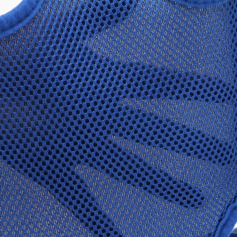 תיק נשיאה לכלבים קטנים עם רשת נושמת